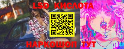 гидра Шахты