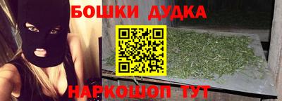 гидра Шахты