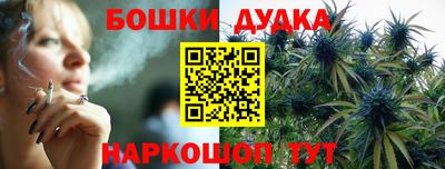 гидра Шахты