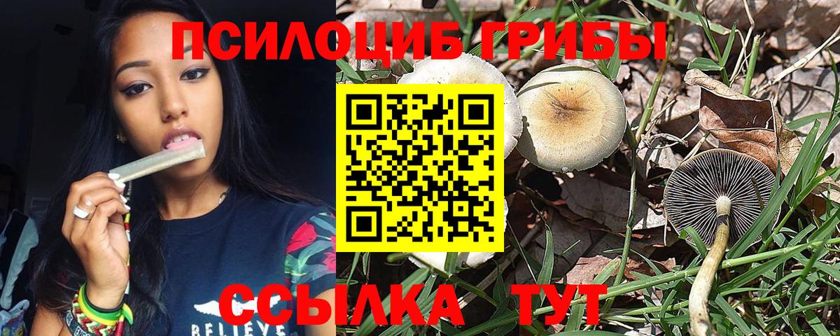 Псилоцибиновые грибы мицелий Ачхой-Мартан
